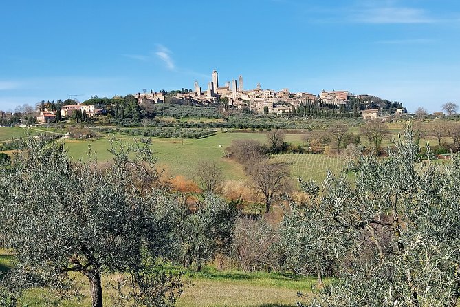 Tuscany Experience: Pisa, Siena, San Gimignano & Wine Tasting - Common questions