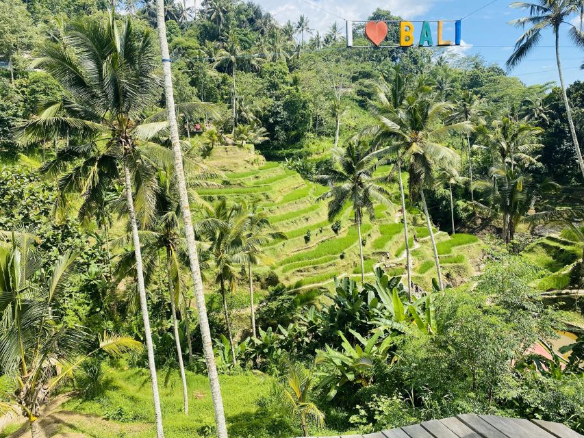 Ubud : All-Inclusive Private Day Tour - Capture Epic Moments With Photos