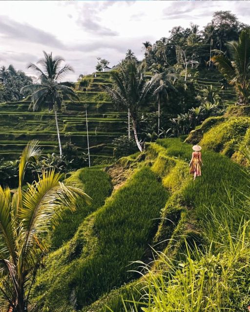 Ubud Scenic Waterfalls, Temple With Coffee - All Inclusive - Common questions