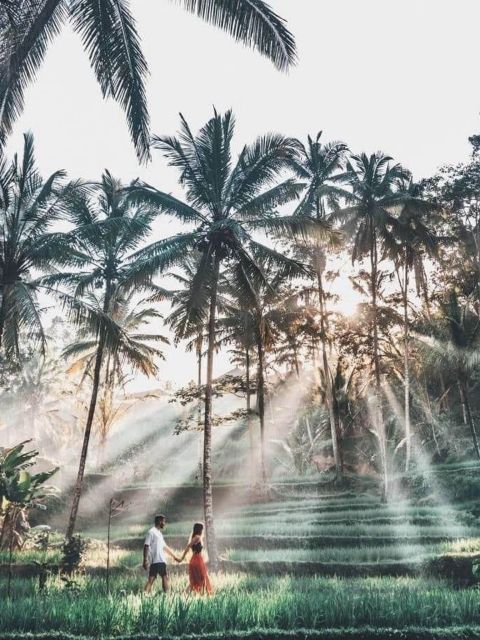 Ubud Tegallalang Rice Terrace Tour - Last Words