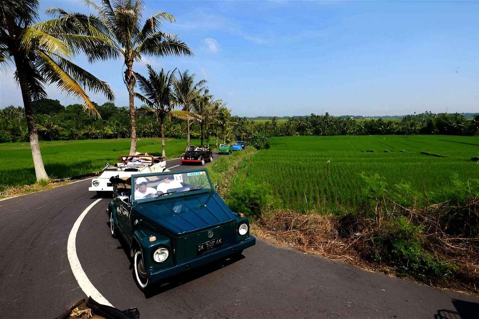 Ubud VW Safari Bali Tour - Common questions