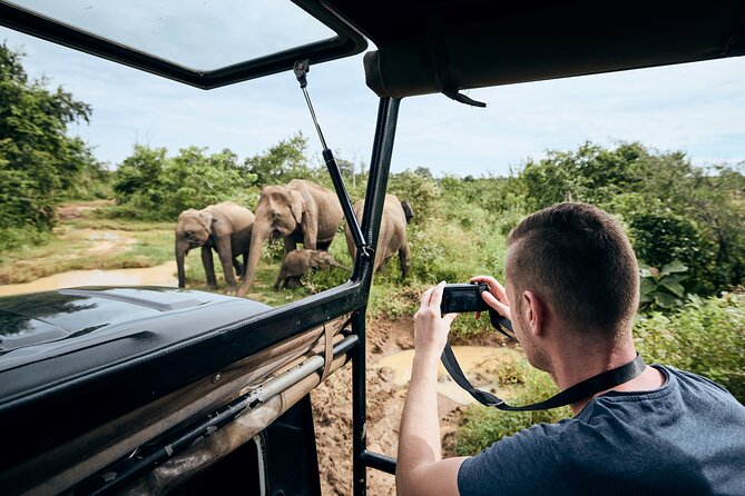 Udawalawe National Park Safari With Elephant Transit Home Visit - Last Words