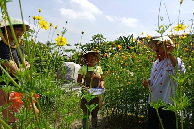 Unique Farm to Table Cooking Class in Saigon - Customer Feedback and Recommendations