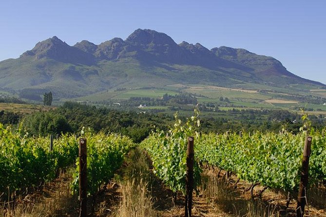 Unique Stellenbosch Winelands Tour With Optional 4x4 Wine Drive - Common questions