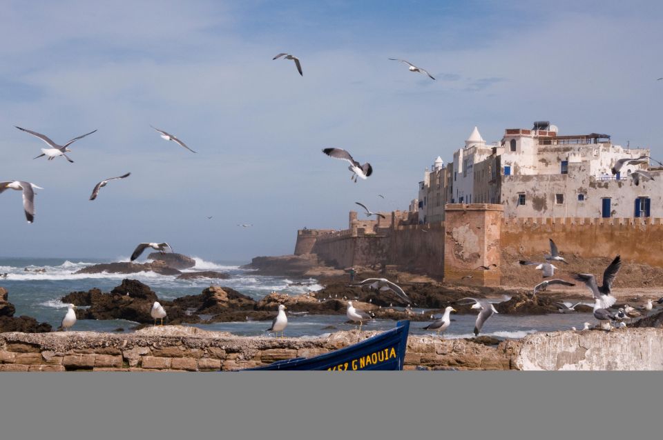 Unveiled: Full Day Escape to Essaouira From Marrakech - Common questions