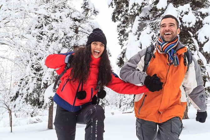 Vancouver Capilano Canyon Light and Peak of Christmas in Grouse Mountain - Customer Support Resources