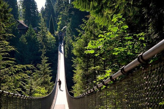 Vancouver, Capilano Suspension & Grouse Mountain Private Tour - Additional Information