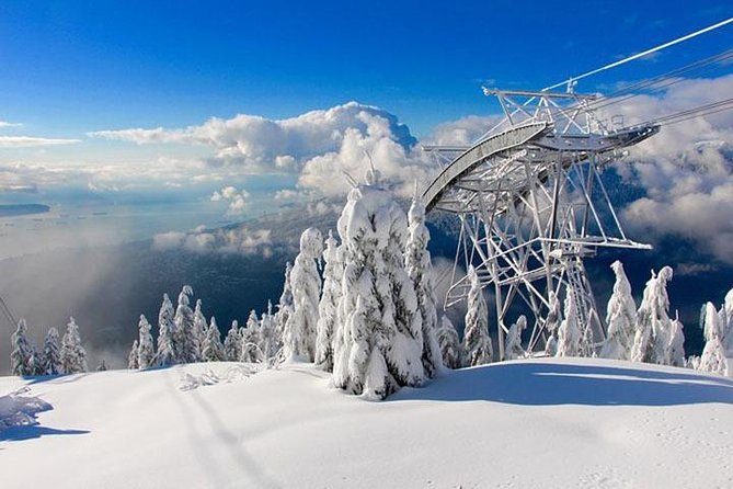 Vancouver, Grouse Mountain, Suspension &The Look Out Private Tour - Pricing and Inclusions