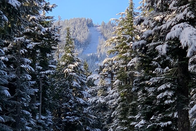 Vancouver: North Shore Mountains Small-Group Snowshoeing Tour - Last Words