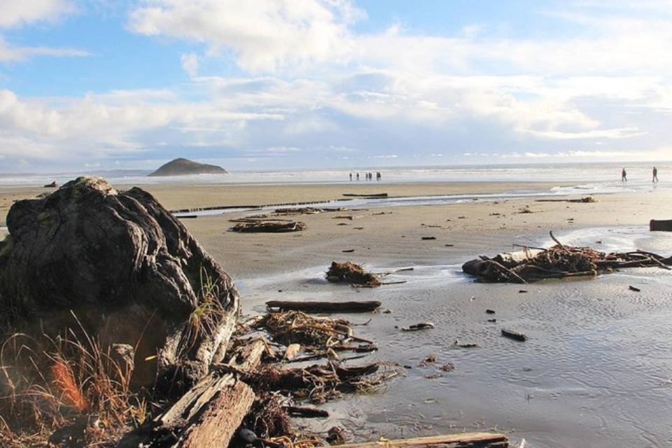 Vancouver to Tofino 2 Day Tour Private - Private Group Tour and Language Accommodations