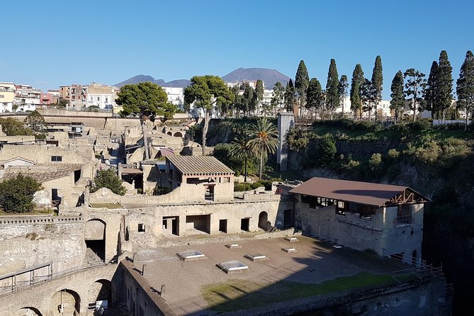 Vesuvius and Herculaneum Day Trip From Naples With Skip the Line - Common questions