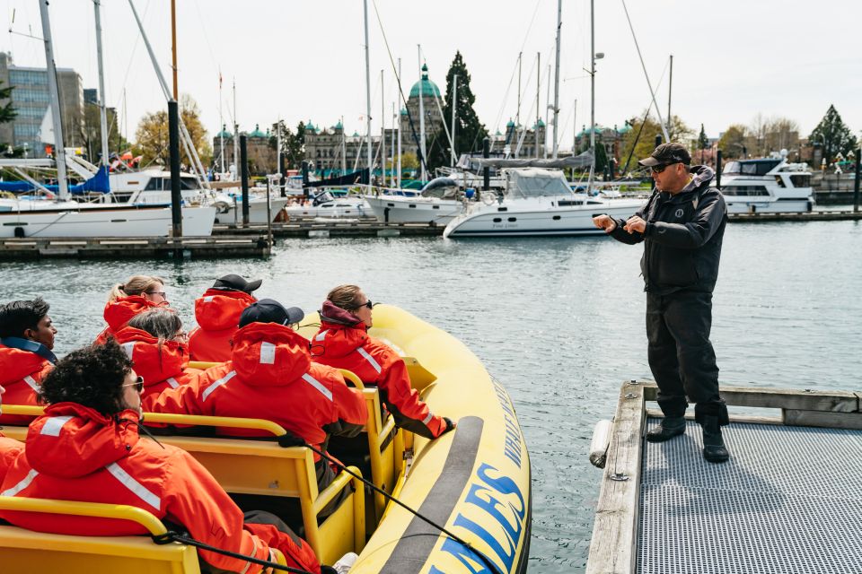 Victoria: 3-Hour Whale Watching Tour in a Zodiac Boat - Location and Check-In Details
