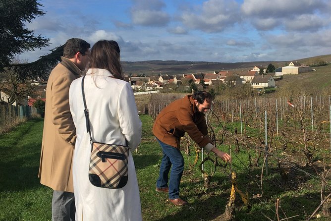 Visit of the Vineyard & Tasting of 5 Champagnes Japanese Assistant & Transport - Common questions