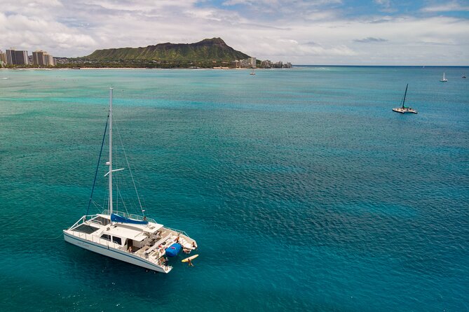 Waikiki Panorama Sail Search for Hawaiian Sea Turtles - Last Words