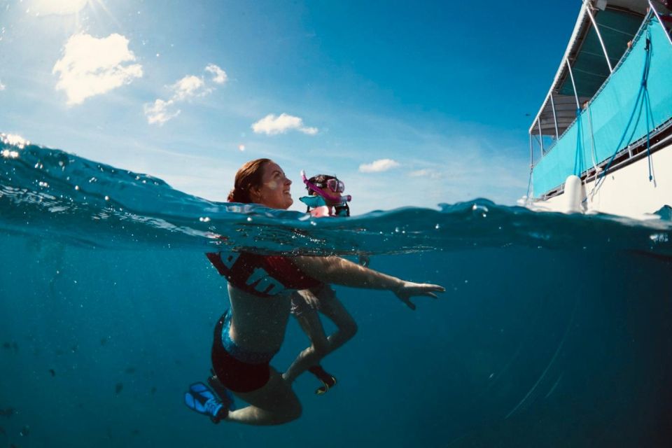 Waikiki: Snorkel Tour With Hawaiian Green Sea Turtles - Tour Duration