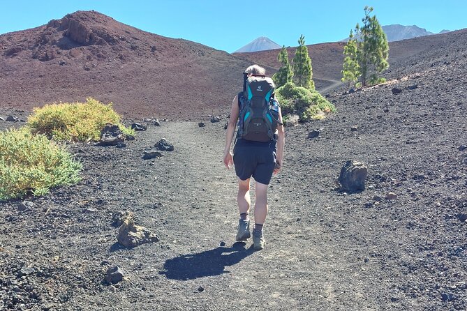 Walking on the Moon Around the Volcano Teide in Tenerife - Key Points