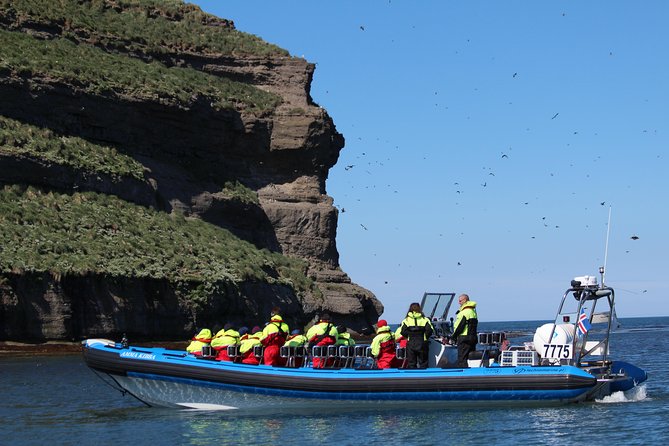 Whale Safari and Puffins RIB Boat Tour From Húsavík - Last Words