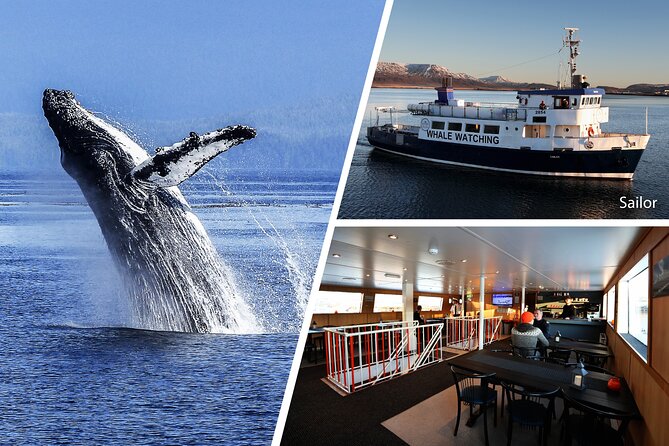 Whale Watching and Marine Life Tour in Reykjavik - Customer Support