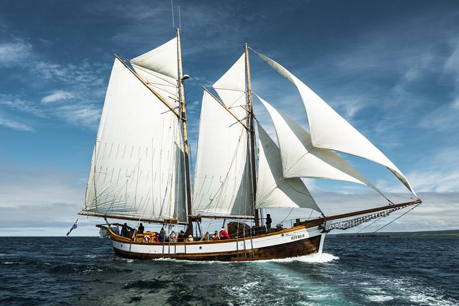 Whale Watching on a Traditional Oak Sailing Ship From Husavik - Contact and Support