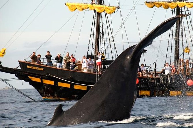 Whale-Watching Pirate Ship Cruise in Los Cabos - Common questions