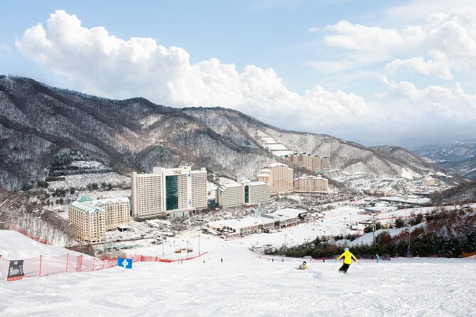 Winter Fun at Vivaldi Ski Resort With Romantic Winter Scenery at Nami Island - Additional Resources and Information