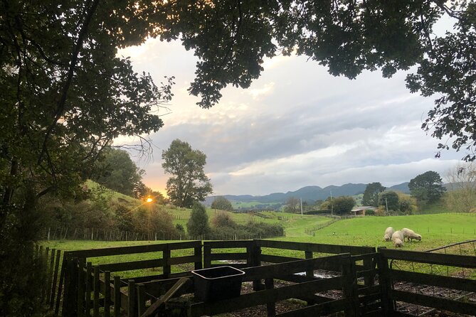 Wool Sheep Farm Experience With Handmade Wool Hat in New Zealand - Directions