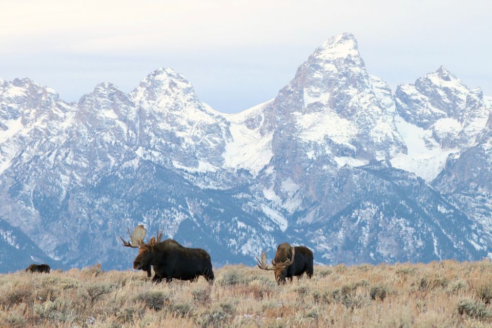 Wyoming: Grand Teton National Park Self-Guided Driving Tour - Last Words