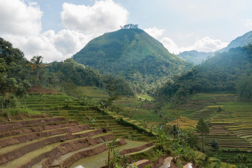 Yogyakarta: Selogriyo, Marvel Amidst Java's Lush Terraces - Selogriyo Trekking Adventure Details