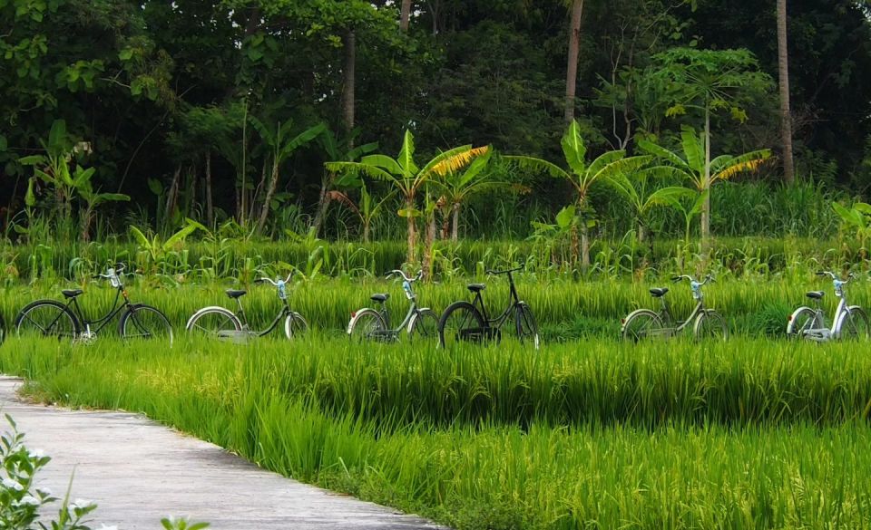 Yogyakarta: Village Cycling Tour Feel Real Local Atmosphere - Location and Accessibility
