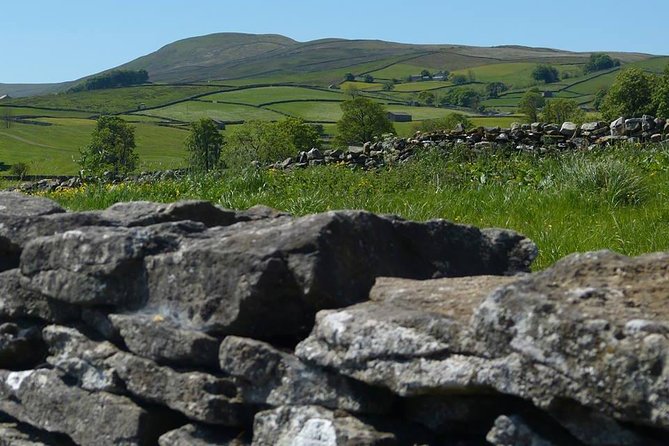 Yorkshire Dales Day Trip From York - Testimonials and Reviews