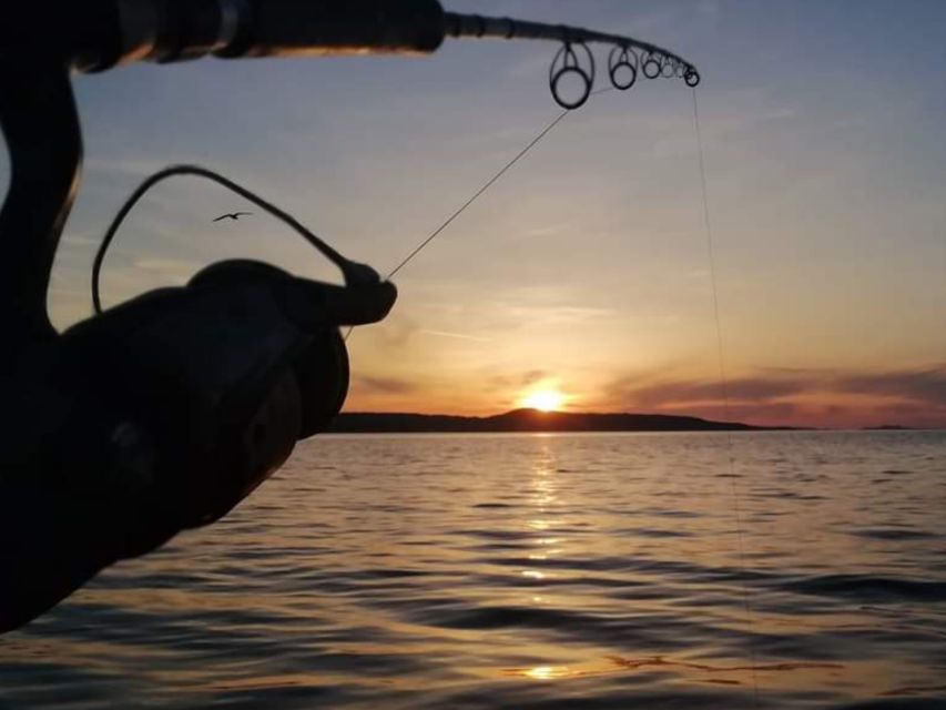 Zadar: Sunset Fishing Half-Day Guided Boat Trip - Last Words