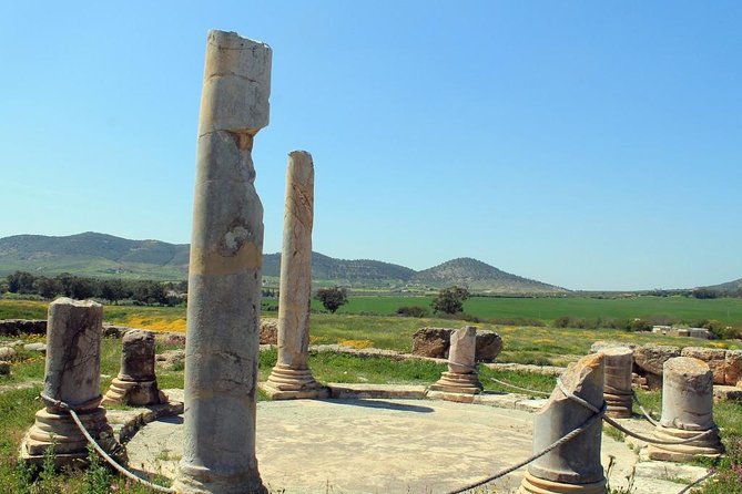 Zaghouan, Thuburbo Majus and Dougga Private Self-Guided Excursion From Hammamet - Viator Copyright and Terms & Conditions