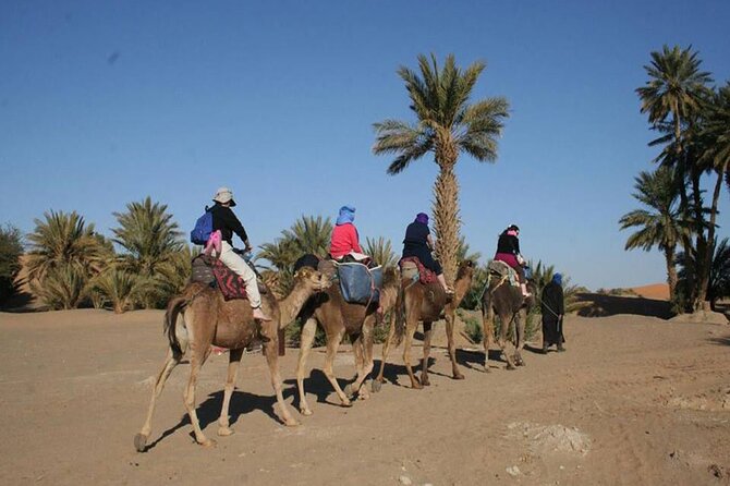 Zagora & Kasbahs 2 Day Desert Tour From Marrakech - Common questions