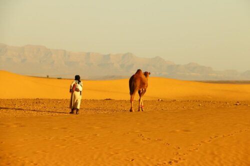 Zagora: Overnight in Luxury Desert Camp With Camel Ride, - Common questions