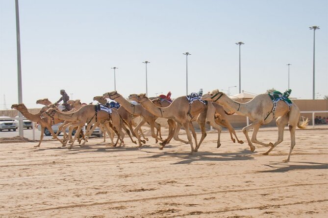 Zekreet Rock Formation, Richard Serra Tour & Camel Race Tour - Common questions