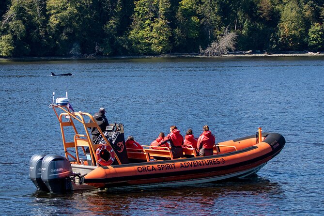 Zodiac Marine Wildlife Excursion From Victoria - Pricing Details