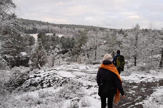 1-Day Small-Group Stockholm Nature Winter Hiking - Customer Reviews