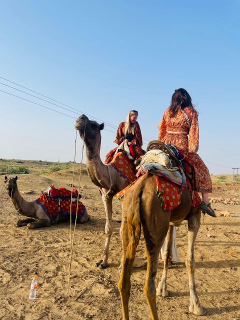 1 Night 2 Day Thar Desert Experience & Village Lifestyle - Last Words