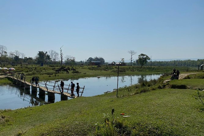 1 Night 2 Days Chitwan Jungle Safari Tour From Kathmandu - Last Words