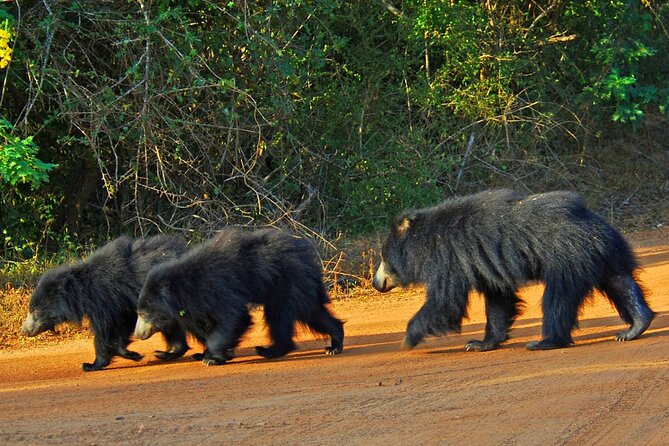 2 Day Private Tour of Yala Wild Safari & Galle Sightseeing - All Inclusive - Yala Safari and Galle Sightseeing