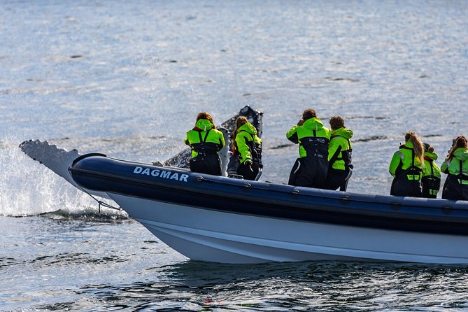 2-Hour RIB Boat Whale Watching Tour From Reykjavik - Last Words