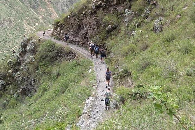 3-Day Custom Colca Canyon Trek From Arequipa - Common questions