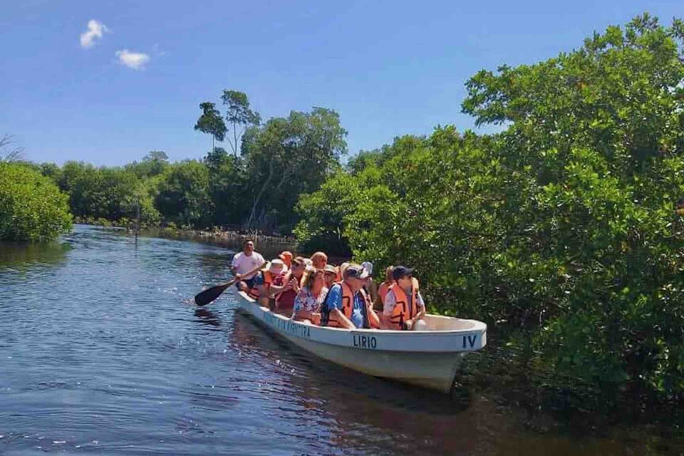 4-in-1 Tour - Mazunte, Cacao Factory & Turtle Spawn/Release - Common questions