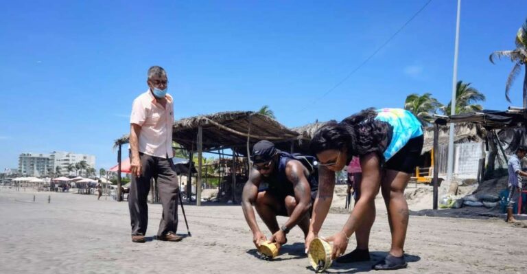 .6Hr Tour Diving Show Baby Turtle Release & All Attractions