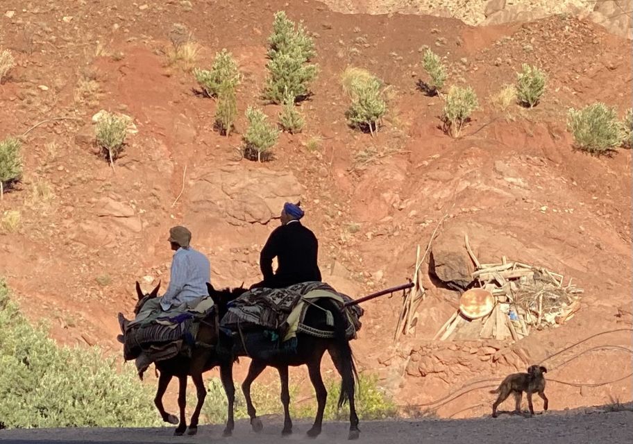 A Journey Through Time Telouet and Ait Ben Haddou Day Tour - Additional Information