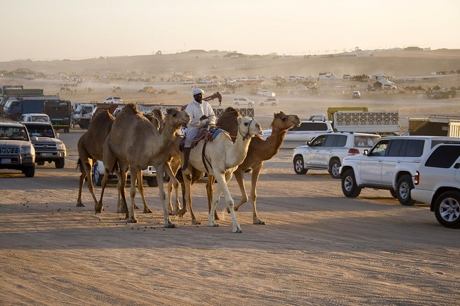 Abu Dhabi Desert Safari For 6-Hour Include BBQ Dinner - Common questions