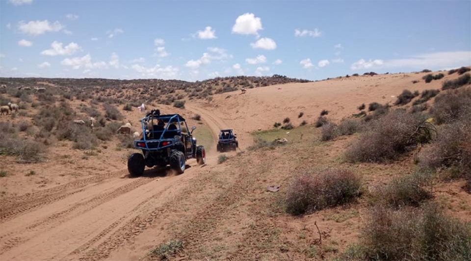 Agadir: Buggy Safari Adventure - Last Words