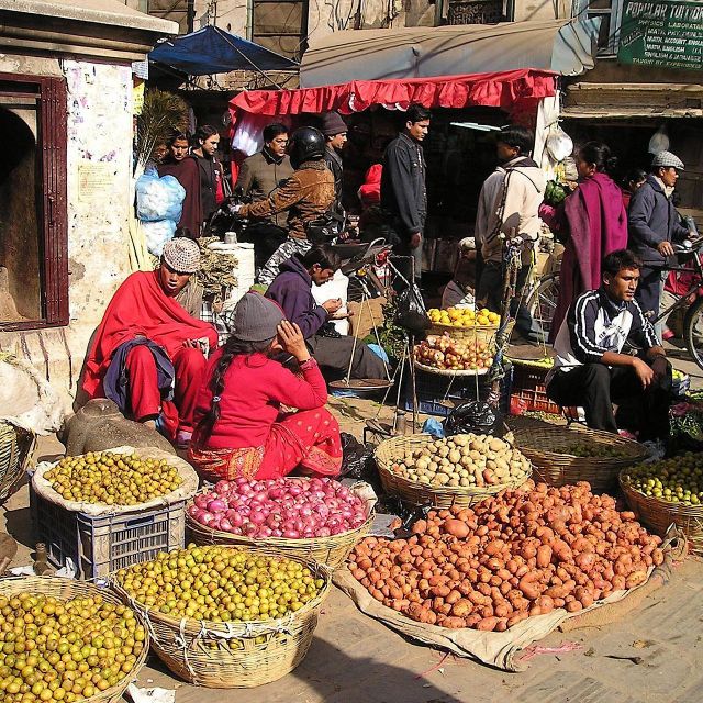 Agadir: Marrakech Day Trips With Professional Guide - Cultural Immersion Opportunities