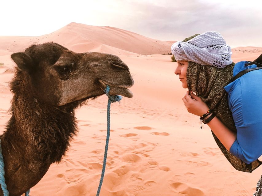 Agadir: Sunset Camel Ride, Flamingo River Tour & Drink - Last Words