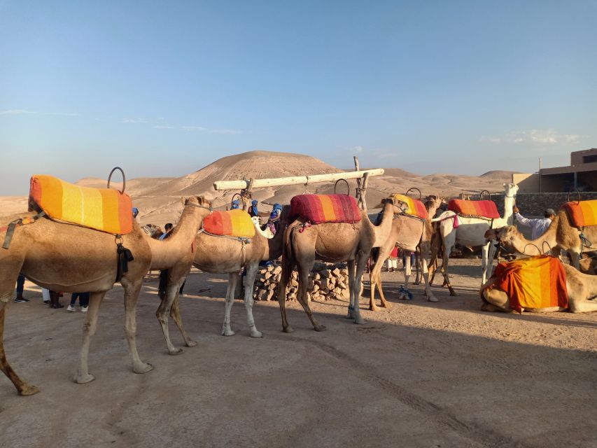 Agafay Desert Camel Ride With Lunch - Perfect for Nature Enthusiasts